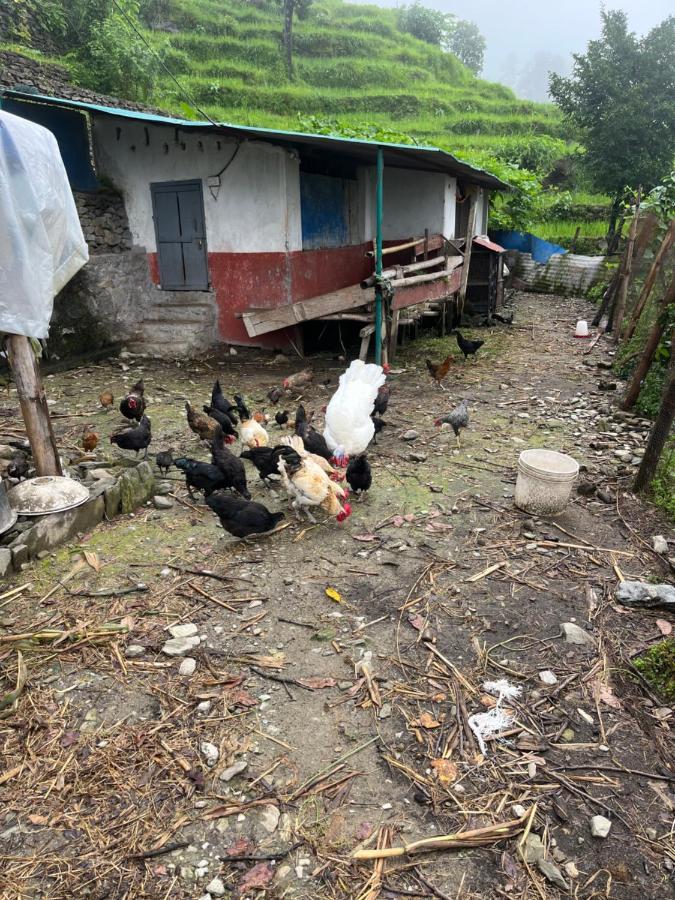 The North Face Inn'S Homestay Pokhara Exterior photo